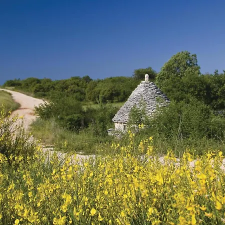 Beautiful In With Wifi Holiday home Hrboki